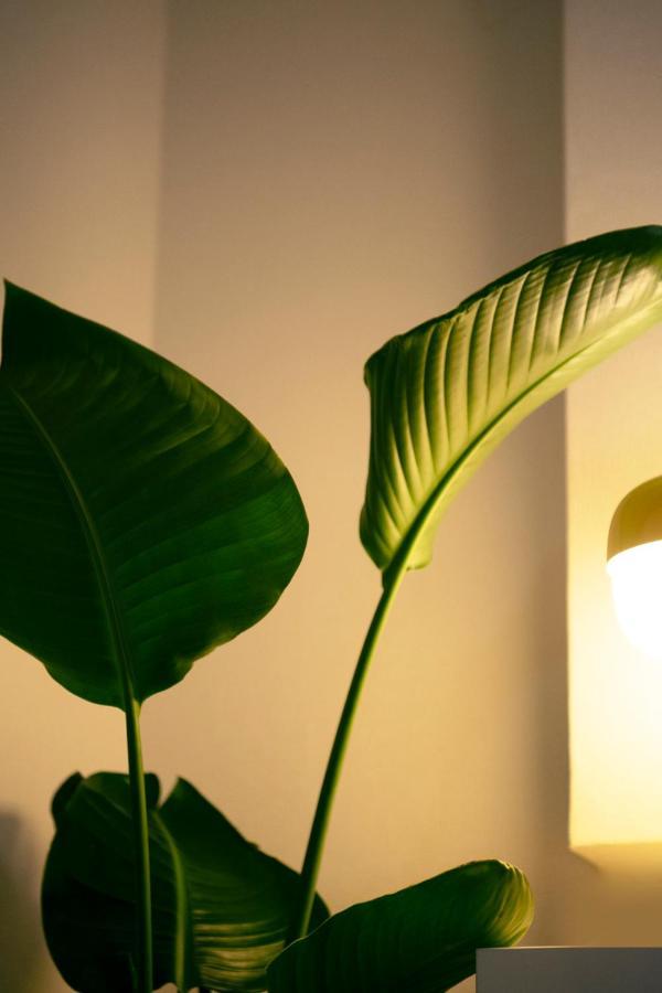 #9 3Mins To Station 1Stop To Shinjuku Stylish Apartment With Plenty Of Sunlight Prefektura Tokio Exteriér fotografie