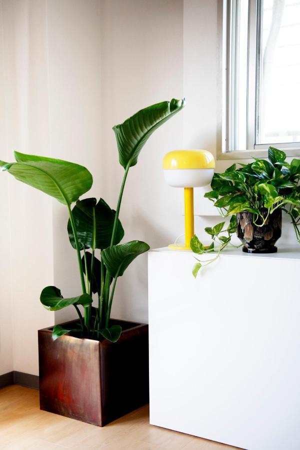 #9 3Mins To Station 1Stop To Shinjuku Stylish Apartment With Plenty Of Sunlight Prefektura Tokio Exteriér fotografie